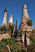 Inle Lake Myanmar. Indein, a cluster of ancient stupas  ruined and overgrown with bushes, just behind the village. 